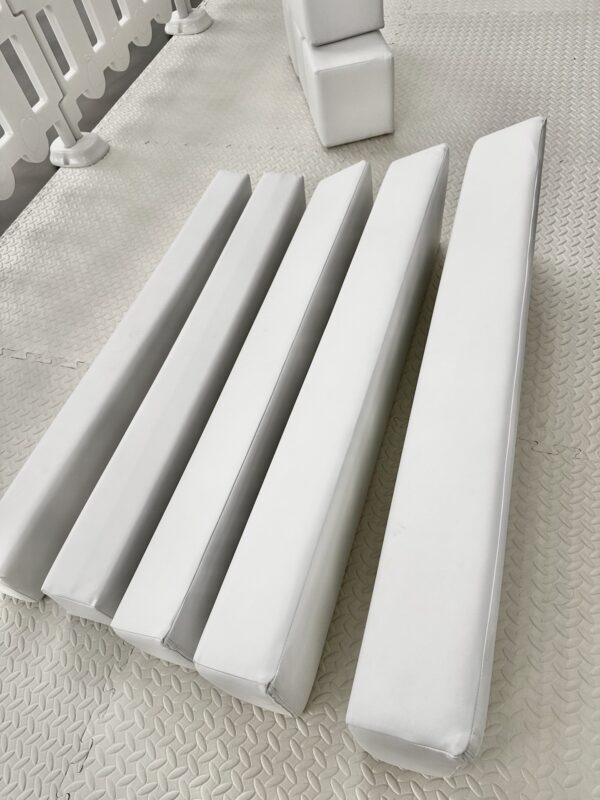 Medium Package - Image 5